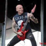 Into The Grave 2025: Coffin Feeder
